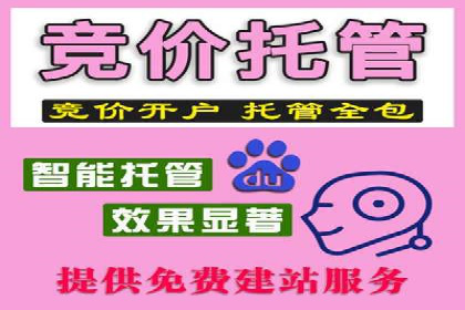 百度竞价代运营公司：如何选择合适的投放平台